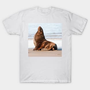 New Zealand Sea Lion 1 T-Shirt